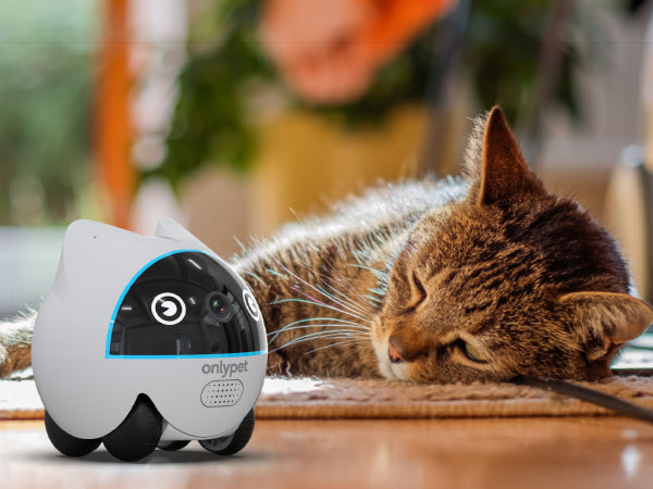 Beyond Distance: Onlypet’s New Smart Camera—The Ultimate Guardian for All Pet Parents