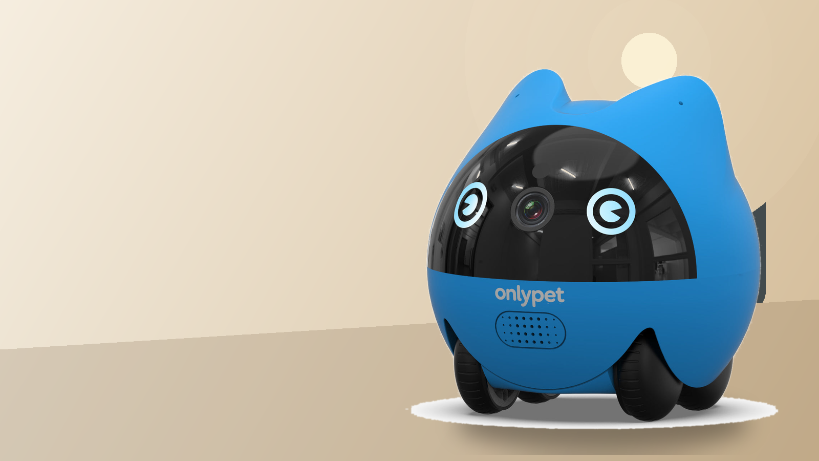 How to Keep an Indoor Cat Busy During the Day