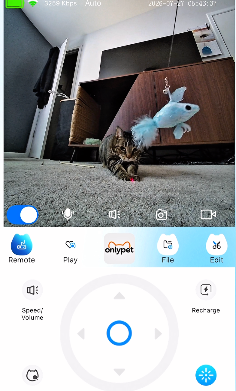 Real home play with OnlyPet Buddy