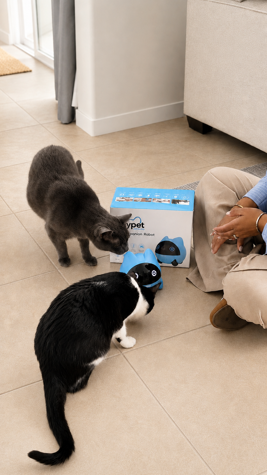 A pet meeting Onlypet