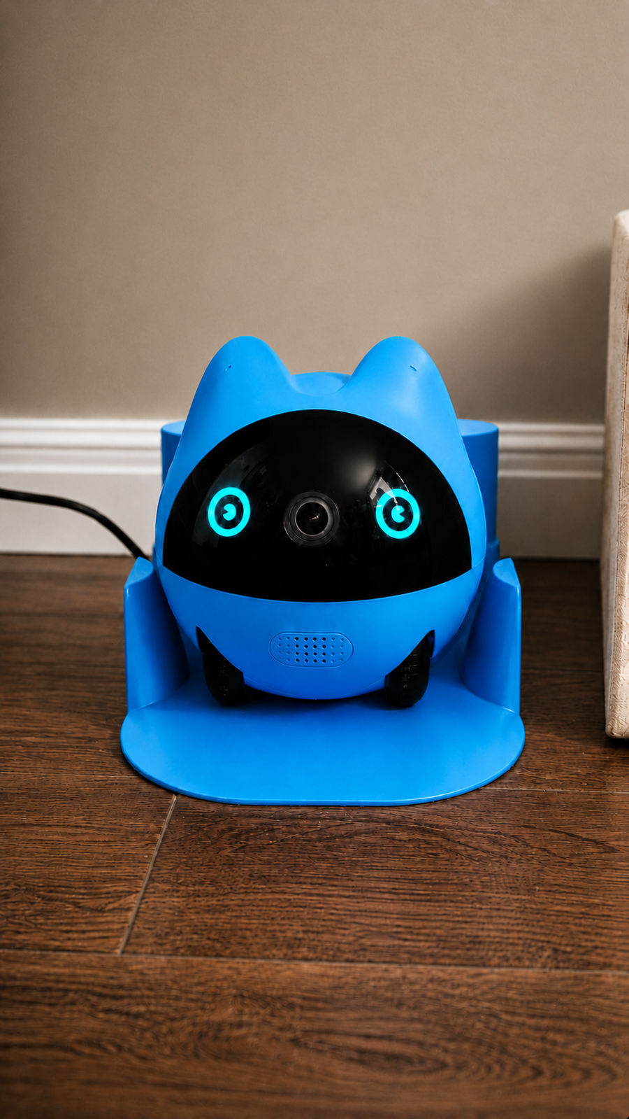 Onlypet in a real pet home