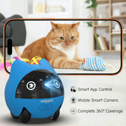 OnlyPetBuddy Pet Companion Robot