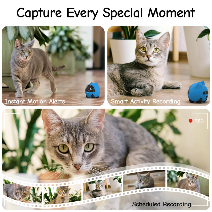 Onlypet motion-change capture
