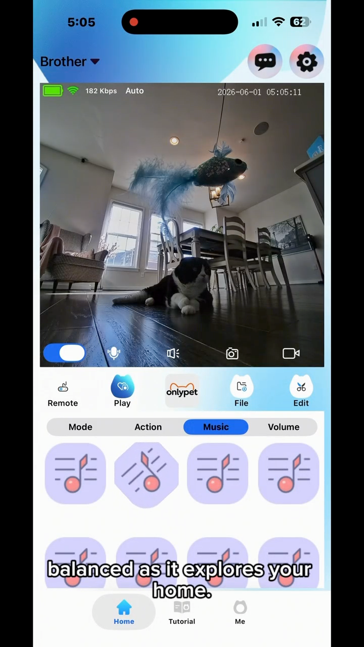 OnlyPet mobile app controls for checking in, moving, talking, and playing
